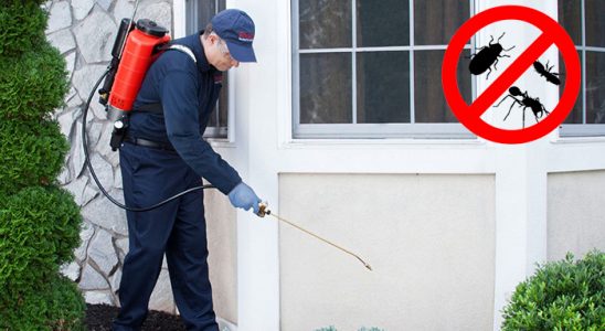 Kulp Bit İlaçlama böcek ilaçlama ve haşere kontrolü — ilaclama-tr.com